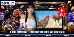 claret gamefowl learn deep red lines and ring traits
