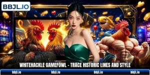 whitehackle gamefowl trace historic lines and style